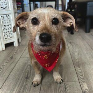 Meet your Posher, Luis